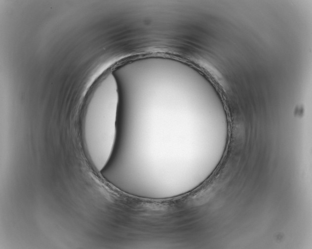 X0000092091023200709121122