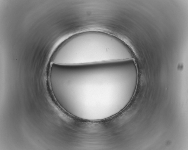 X0000092091024200709121122