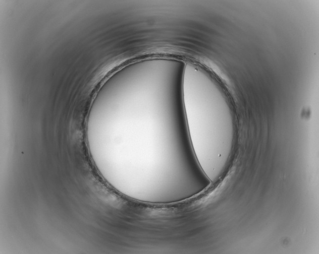 X0000092091025200709121122