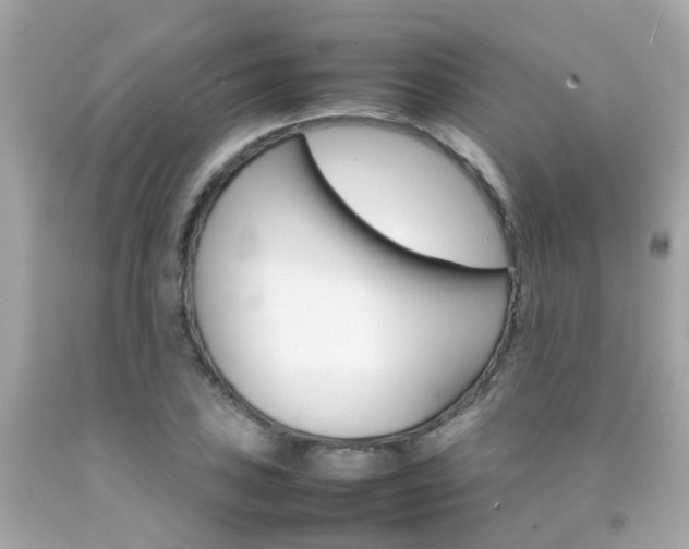 X0000092091027200709121122