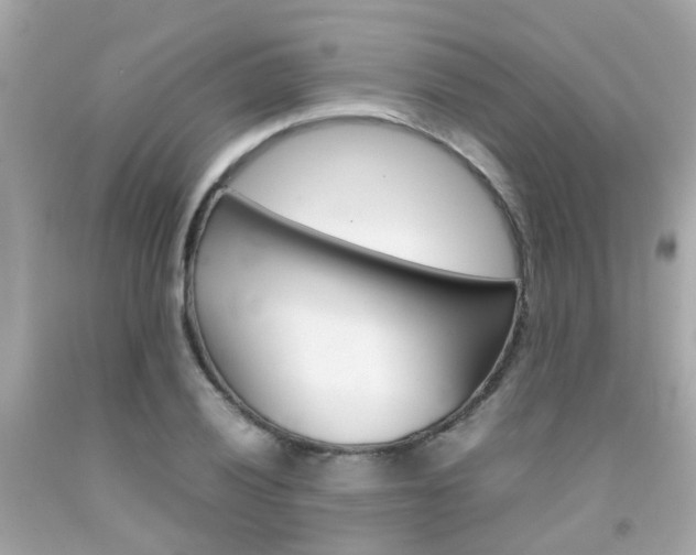 X0000092091028200709121122
