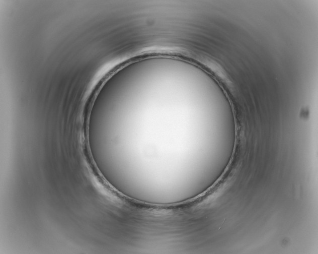 X0000092091030200709121122