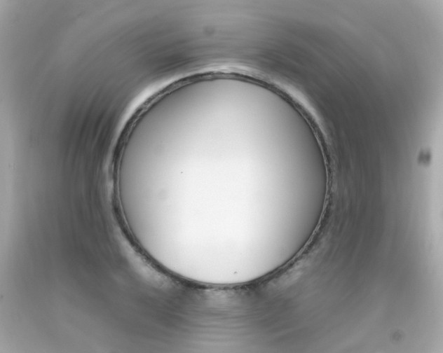 X0000092091032200709121122