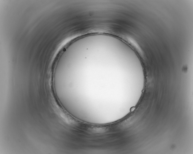 X0000092091035200709121122