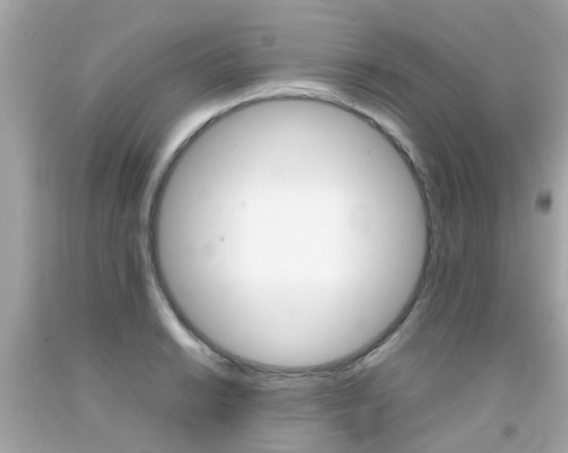 X0000092091038200709121122