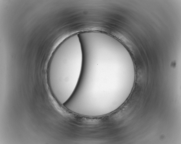 X0000092091039200709121122