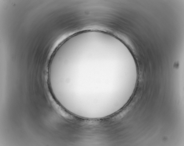 X0000092091040200709121122