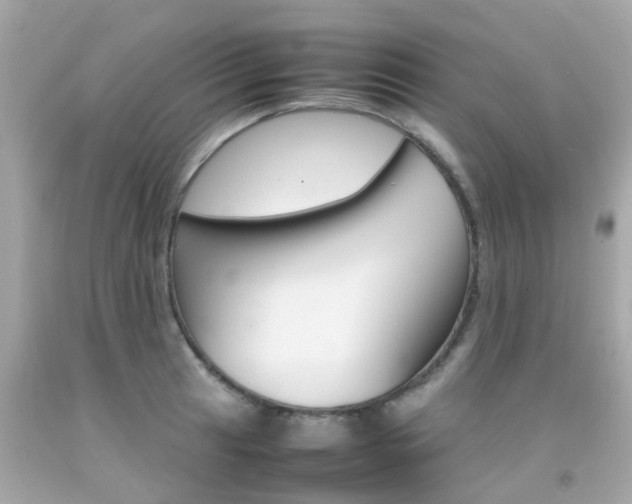 X0000092091041200709121122