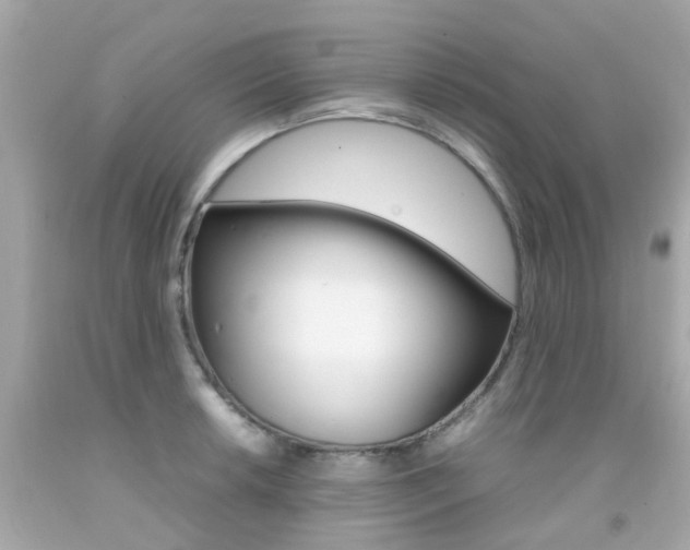 X0000092091042200709121122