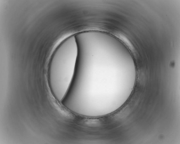 X0000092091043200709121122