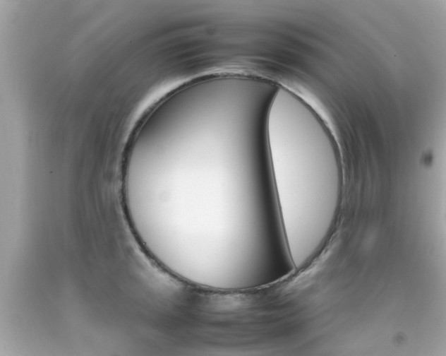 X0000092091045200709121122