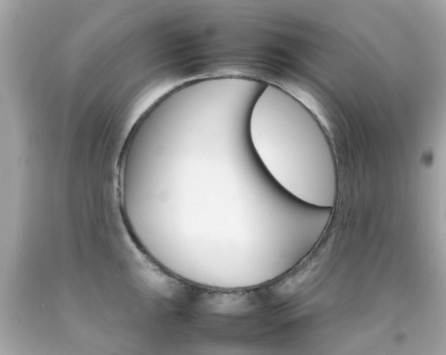 X0000092091047200709121122
