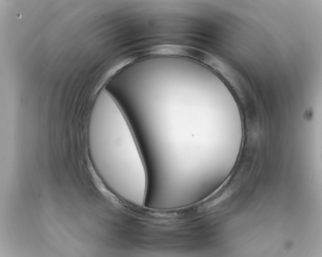 X0000092091049200709121122