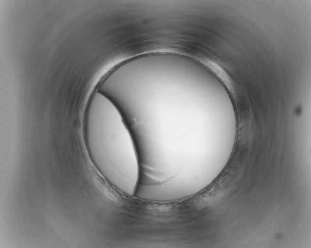 X0000092091051200709121122