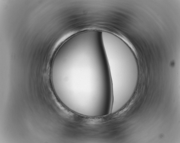 X0000092091053200709121122
