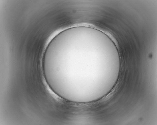 X0000092091054200709121122