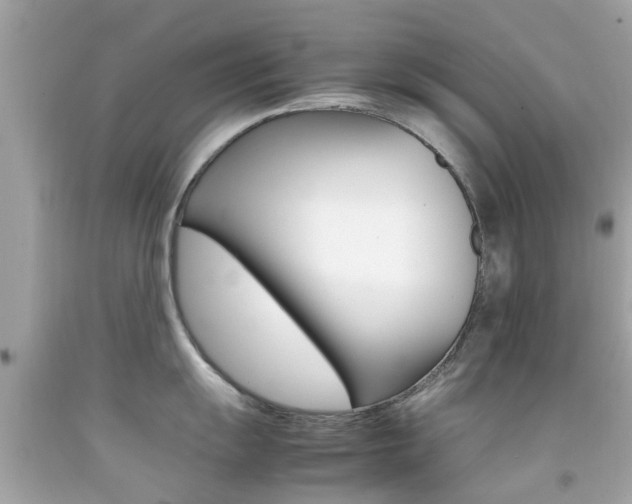 X0000092091055200709121122