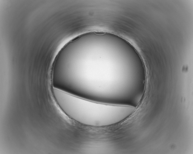 X0000092091056200709121122