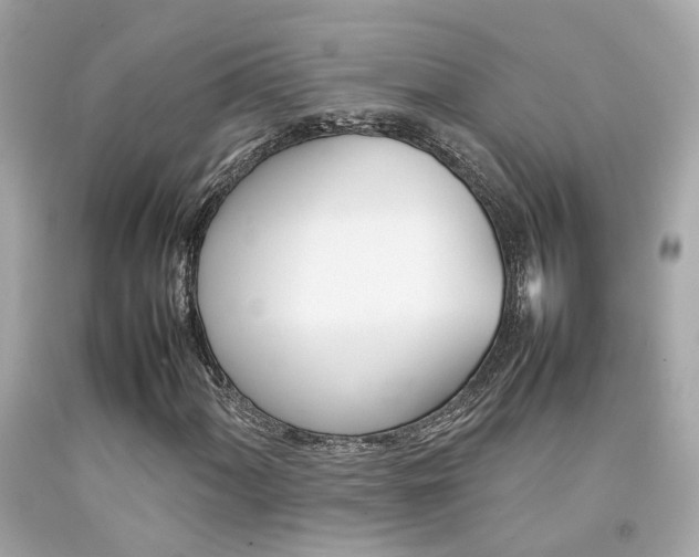 X0000092091060200709121121