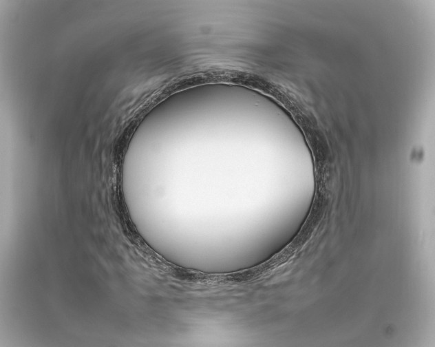 X0000092091061200709121121