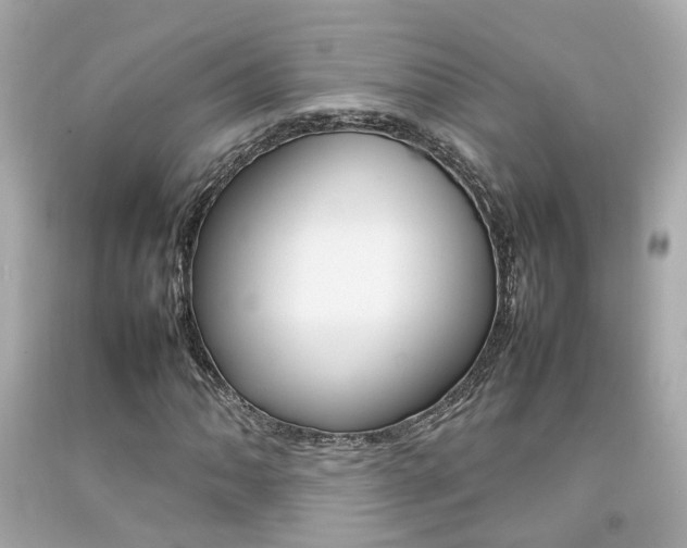 X0000092091062200709121121