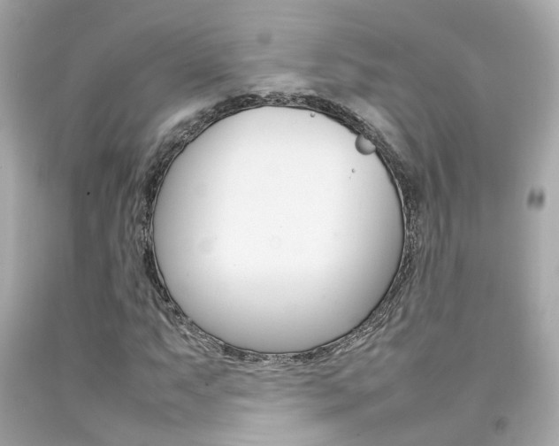 X0000092091063200709121121