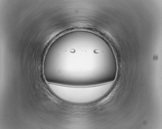 X0000092091065200709121121