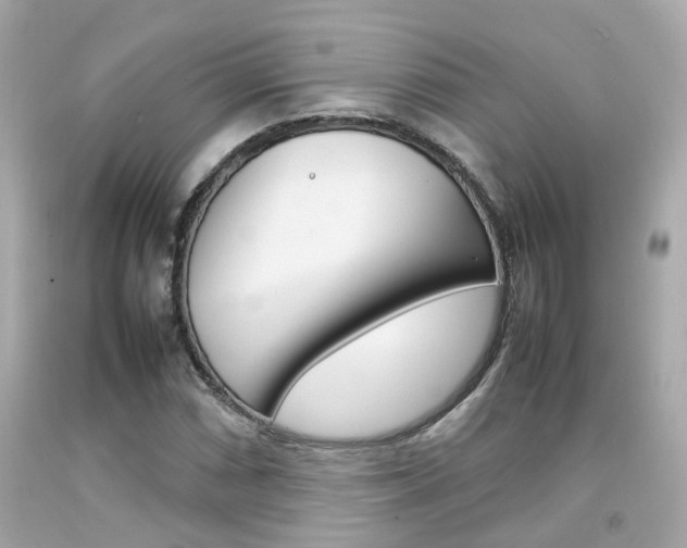 X0000092091066200709121121