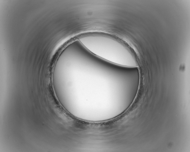 X0000092091069200709121121