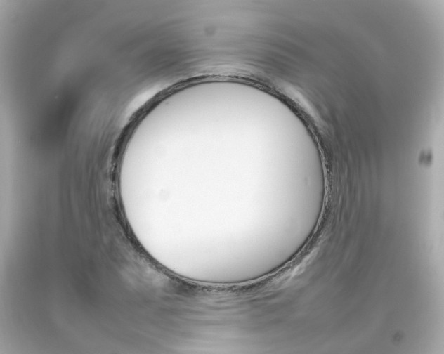 X0000092091071200709121121