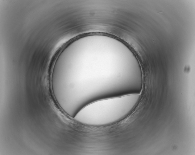 X0000092091072200709121121
