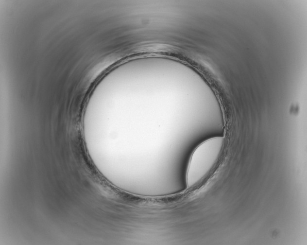 X0000092091073200709121121