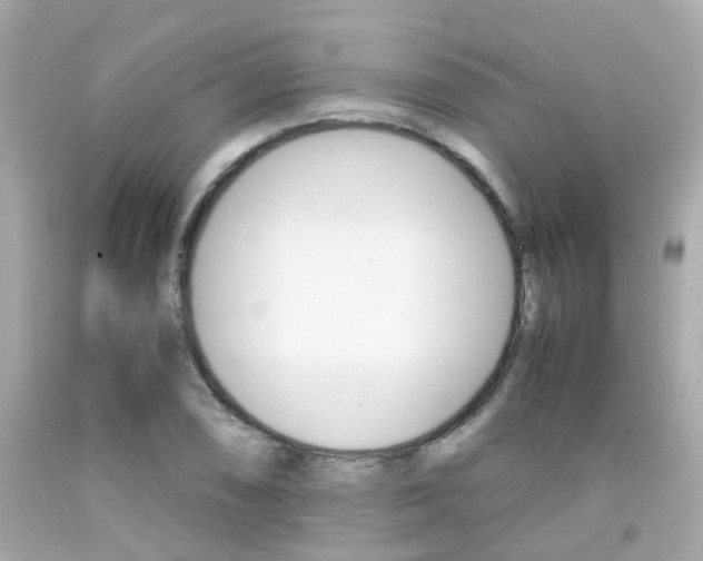 X0000092091074200709121121