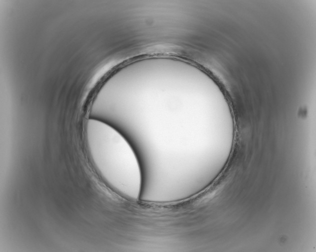 X0000092091075200709121121