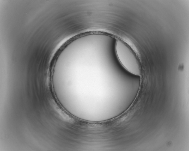 X0000092091076200709121121