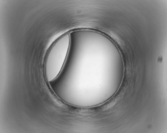 X0000092091077200709121121