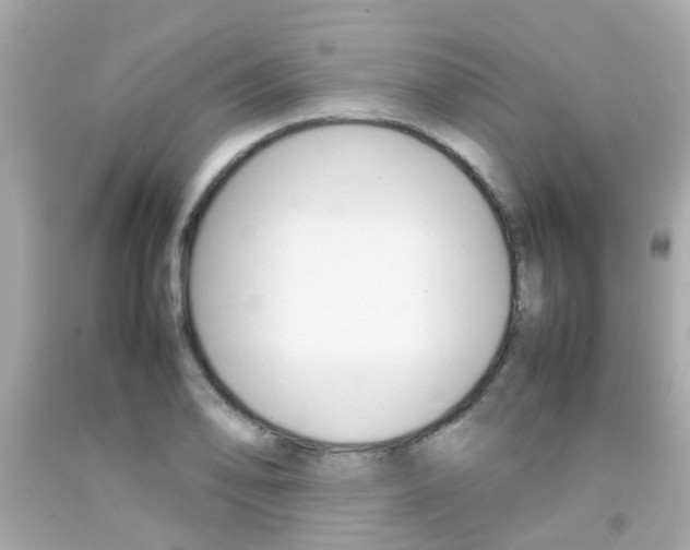 X0000092091078200709121121