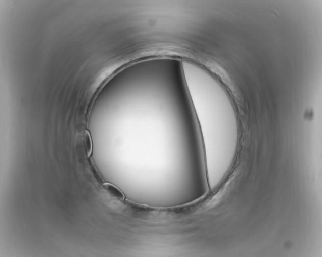 X0000092091081200709121121
