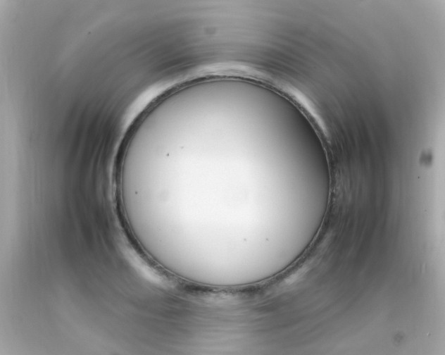 X0000092091082200709121121