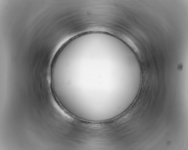 X0000092091084200709121121