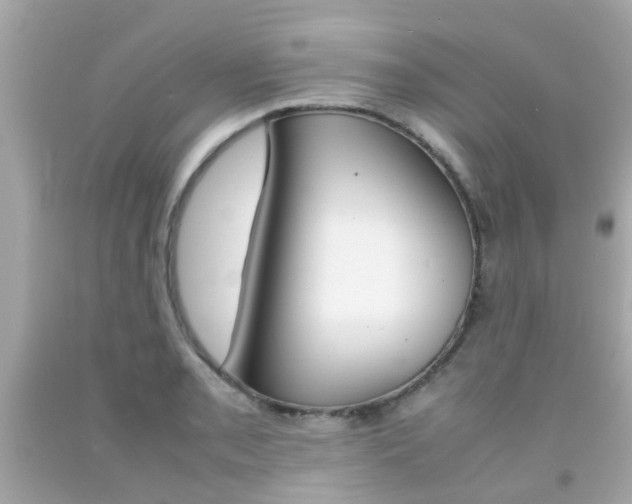 X0000092091085200709121121