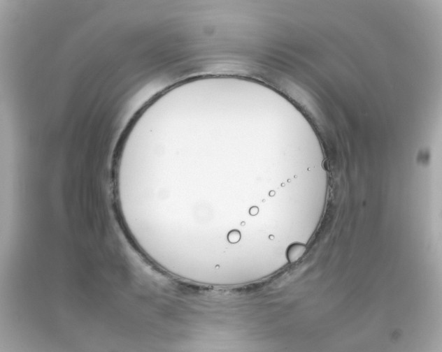 X0000092091087200709121121