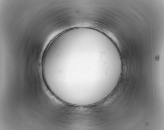 X0000092091088200709121121