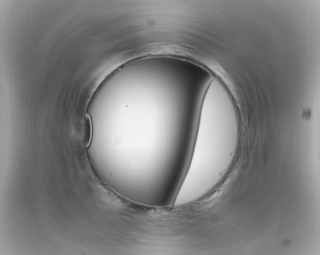 X0000092091089200709121121