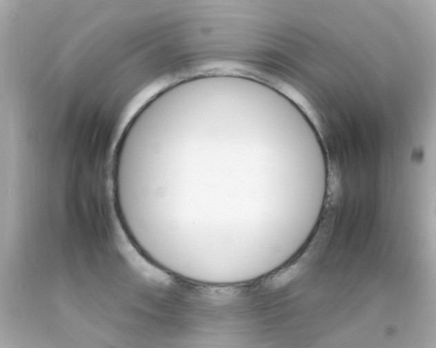 X0000092091090200709121121