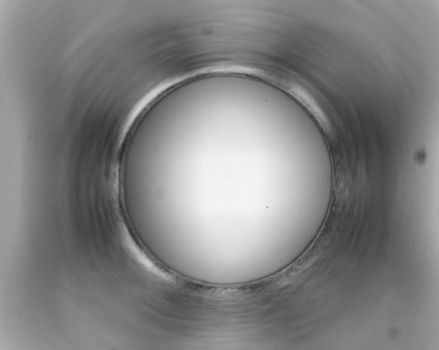 X0000092091092200709121121