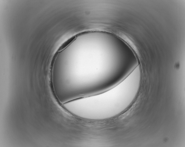 X0000092091093200709121121