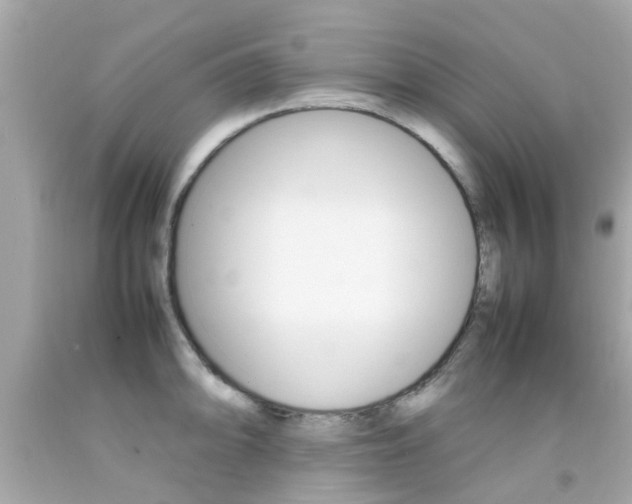 X0000092091094200709121121