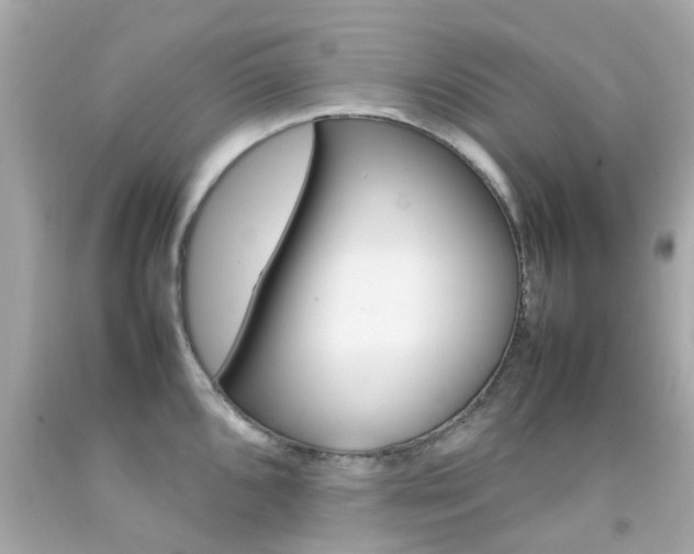 X0000092091096200709121121