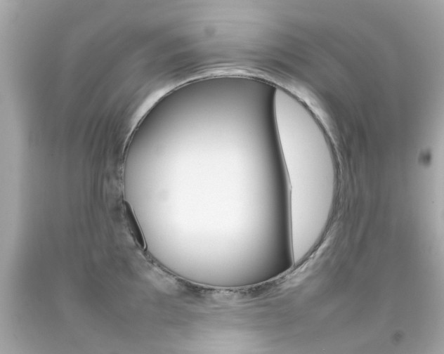 X0000092091097200709121121